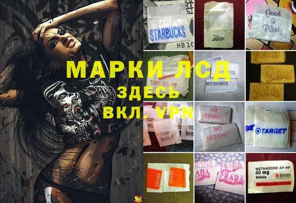 твердый Арсеньев