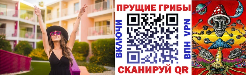Галлюциногенные грибы Cubensis купить закладку Зеленокумск